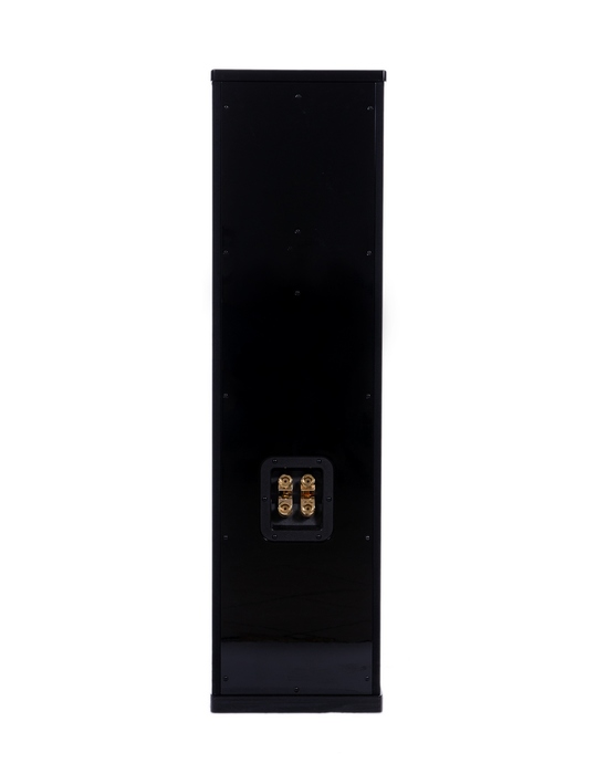 Radiotehnika GOLD FS-500.1