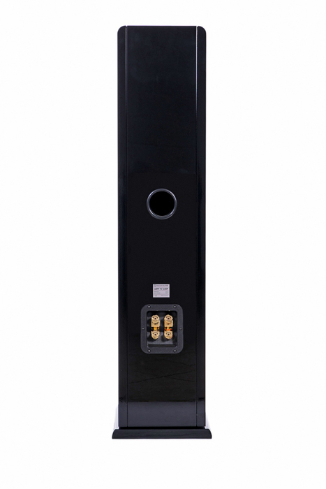 Radiotehnika Giant FS-100N