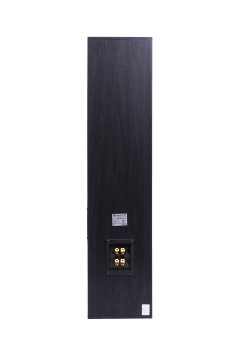 Radiotehnika X-Line FS-10.1