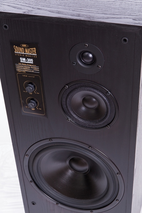 Radiotehnika SM-300