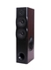 Radiotehnika X-Line FS-10.1