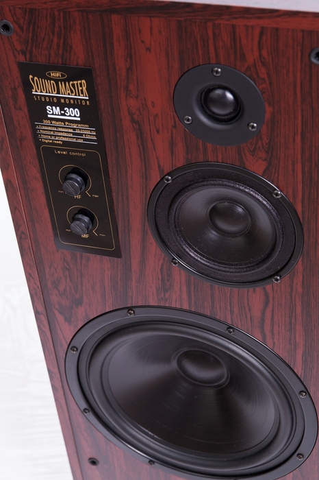 Radiotehnika SM-300